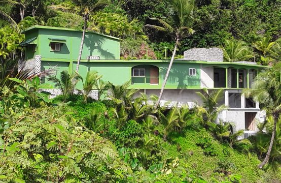 6-Bedroom Home On 12 Waterfront Acres Partly Finished For Sale In Rosalie